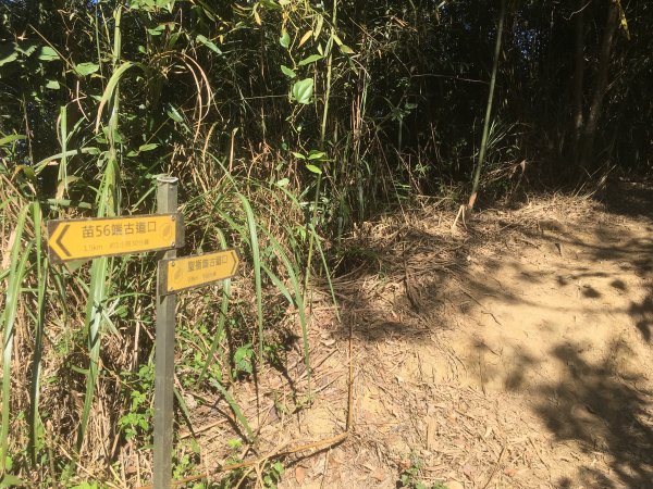 20210116-關刀山1238208