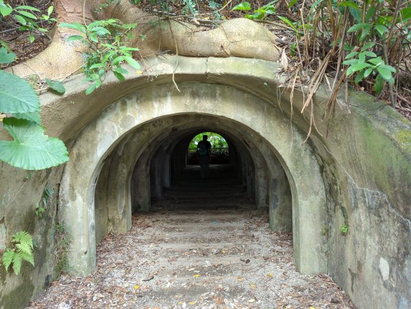 2022.03.20－臺北大縱走第六段1647627