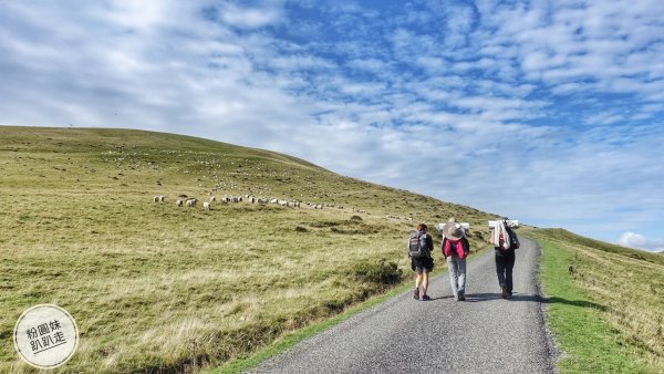 【勇氣2.0朝聖之旅】 D1庇里牛斯山賞雲海652969
