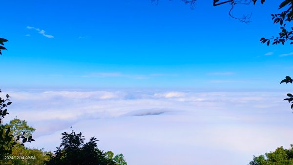 二訪馬拉邦山，解鎖 #琉璃光雲海 #日出雲海  #血月 #斜射光 #楓葉紅了！2668591