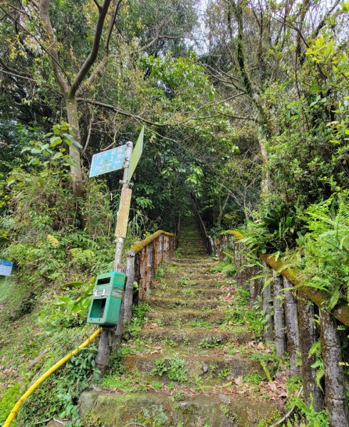 金露天宮-金露山-七星山南峰-恐龍接吻石-小油坑-202403102600395