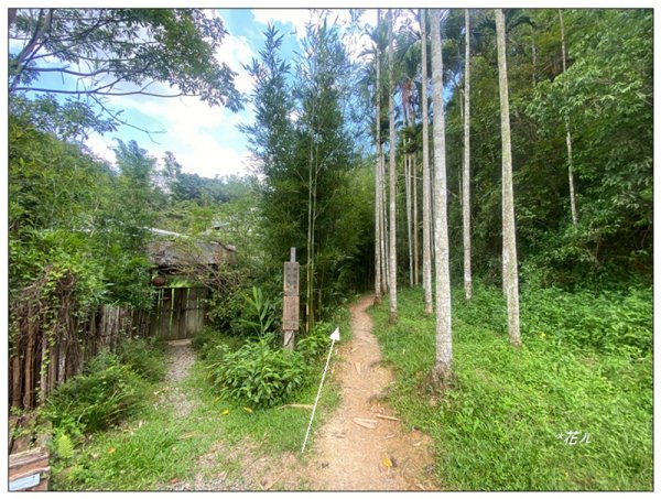 澀水森林步道、水上瀑布2846767