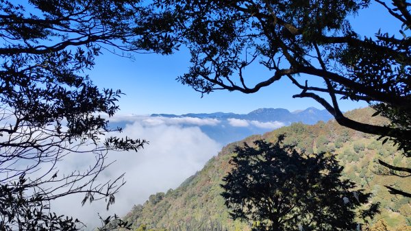 惠蓀大O聖逆走二部曲  2024年12月29日2679244