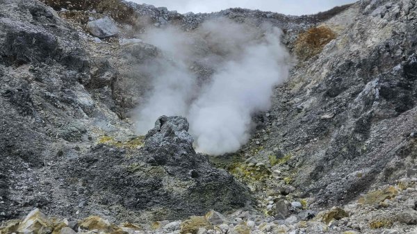 20251007冷水山西峰-三重橋山-挑硫古道-大油坑山前峰-大油坑山2907656