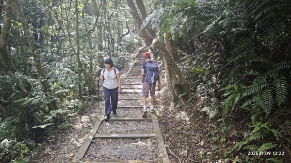 20251109 士林站到大湖站(福山宮_腰繞_燕溪古道_翠山步道_龍船岩_大溝溪)2932353