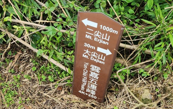 【中級山縱走】雲嘉八連峰（後棟仔山，大尖山，二尖山，馬鞍山，梨子腳山，太平山，大巃頂山及其西北峰）2821133