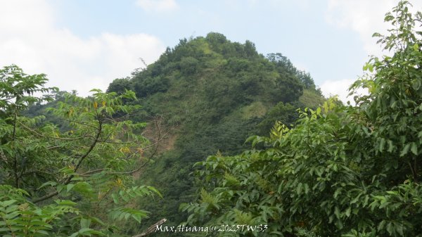 《南投》峰峰相連｜草屯九九峰森林步道O型202509062879309