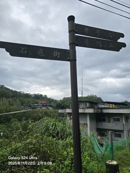 2025-11-22微笑山線：【五分山系】平溪小黃山段2943275