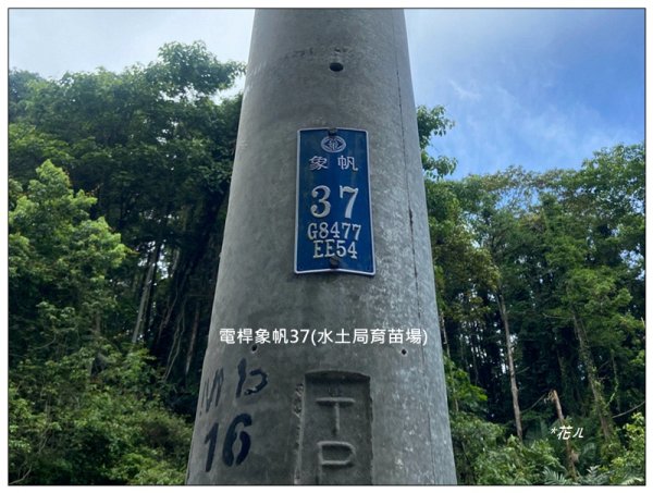 白布帆山、挑沙古道 連走2815738