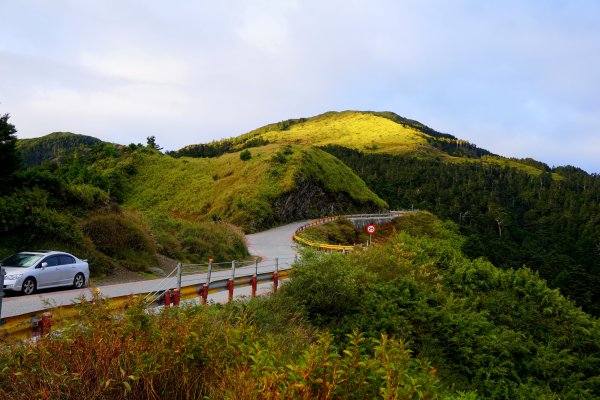 鳥山。不鳥 ~ 合歡西峰439616