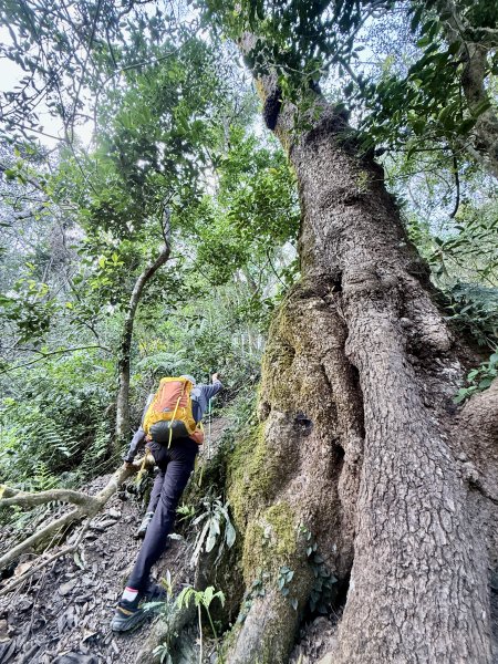 完登新南橫三星-馬馬宇頓山   2026.3.273027526
