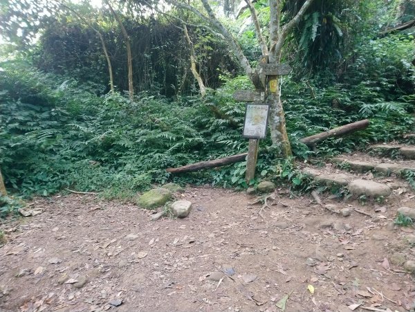 馬那邦山(小百岳編號037)720099