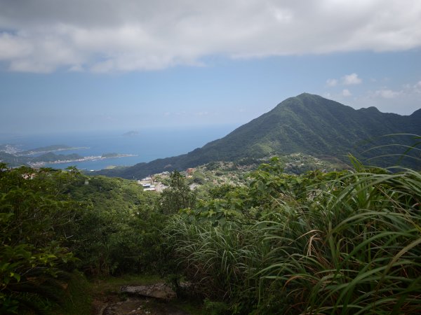 [淡蘭古道] 2026_0531 北路第一段_樹梅坪古道3070649