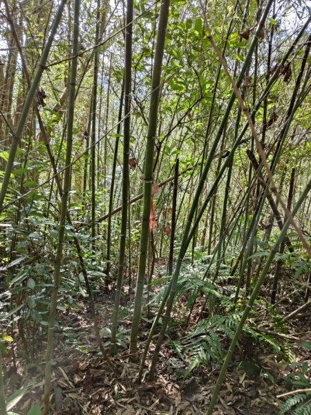 2024.02.17 關西金山2845320