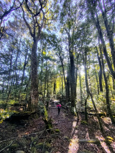 稍來小雪山國家步道、船型山、鞍馬山、鞍馬山東北峰、天池、雪山神木2799818