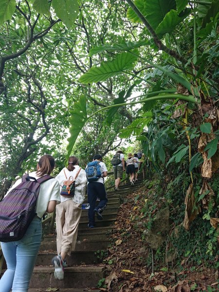 龜山島登頂-環湖-繞島1081198