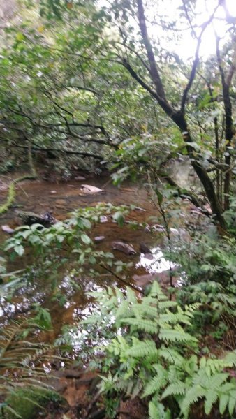 璀璨百年淡蘭古道～虎豹潭古道連走橫山、三方向山、尪子嶺Ｏ走1301133