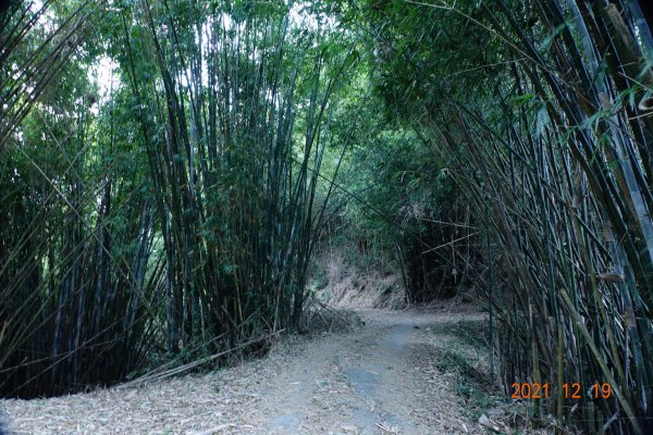 臺中 東勢 石圍牆山1555341