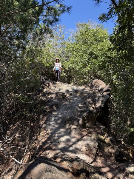 屋東縱走 202503012728997