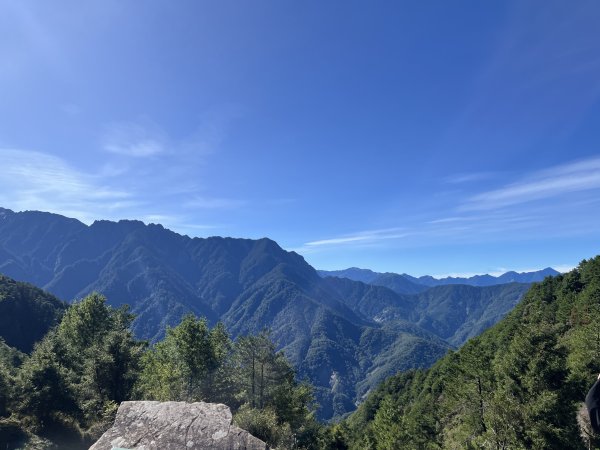 2025/08/17塔塔加、麟趾山、大鐵杉2891614