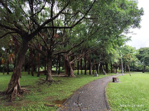 內湖瑞光公園3083344