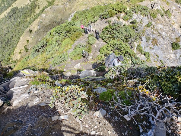 北一段(11/14)南湖北峰 2025_0906~132887359