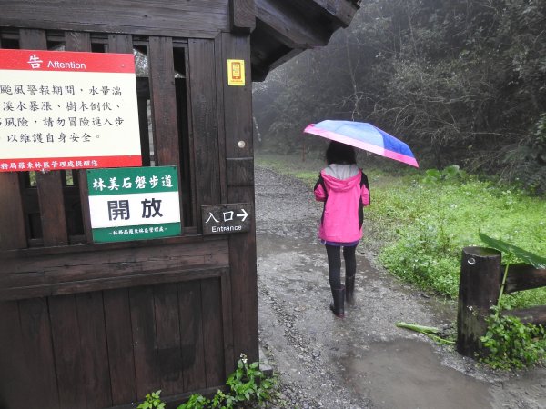 20181117林美石磐步道雨中行473275