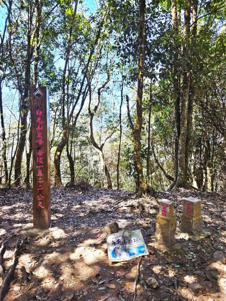 白毛山-谷關七雄(老六)3015225