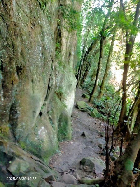 白石湖+打鐵寮古道2824170