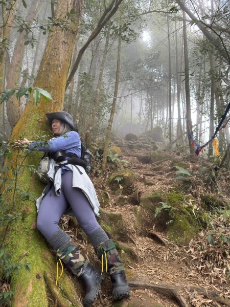 留龍頭-嶺頭山-金柑樹山-忘憂森林（2025必去）2720353