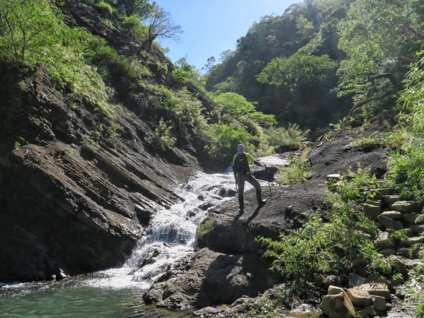 里龍山 悠遊山徑-溪谷-欣賞海天一色美景1486207