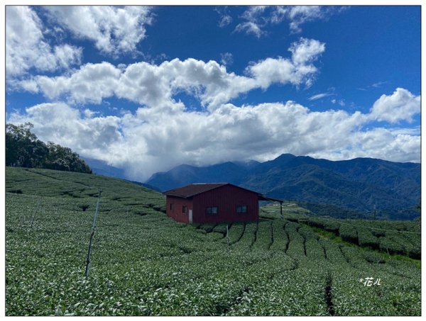 南東眼山 新基石 (南投、仁愛)2844759