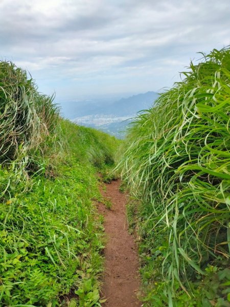 2023/6/19［2023 台北大縱走］（第2段）（二子坪~大屯山~小油坑）2205110