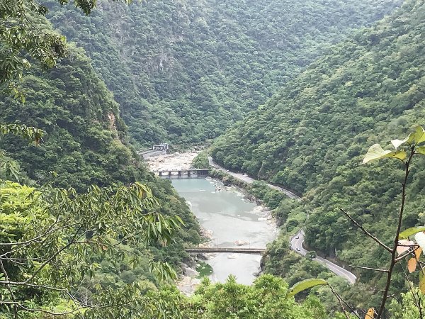 布洛灣&環流丘步道&山月吊橋1445042