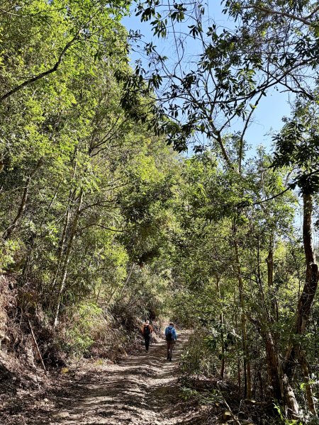 南投仁愛.埔里基石巡禮--眉溪山.東關刀山(北北峰.北峰）.墘溪山.石盤坑山    2024.12669685