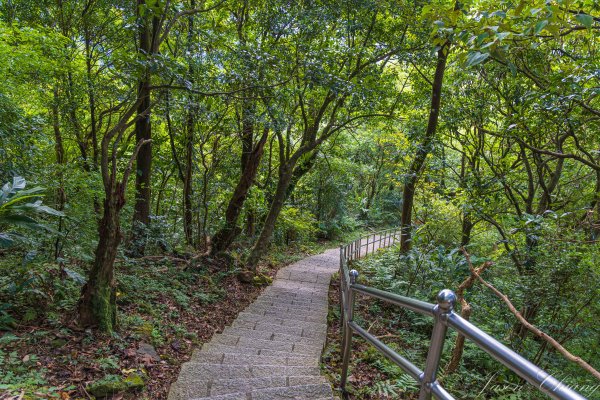 [新北]汐止大尖山2906092