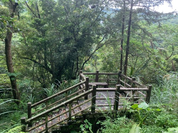 大崎棟古道、騎龍古道2772311