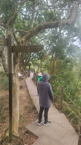 2025-0208聚興山小百岳2710904