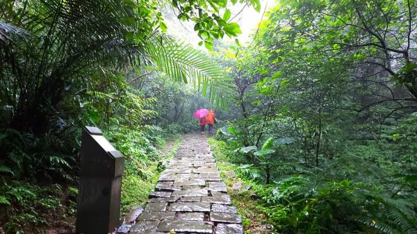 〔貢寮〕草嶺古道2335069