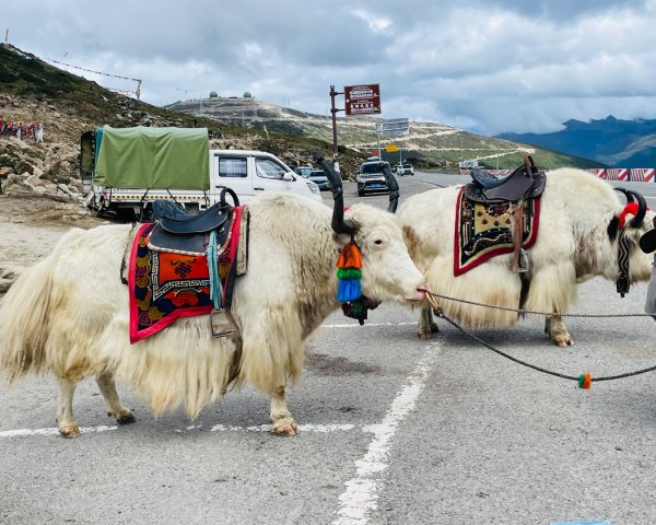 川藏深度之旅33天/A行程2902866