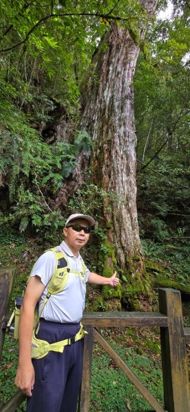 拉拉山巨木步道-塔曼山步道_202407022569683