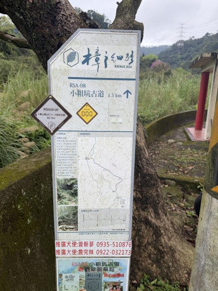 [樟之細路_第一大段RSA08] 2026_0328 小粗坑古道3025744