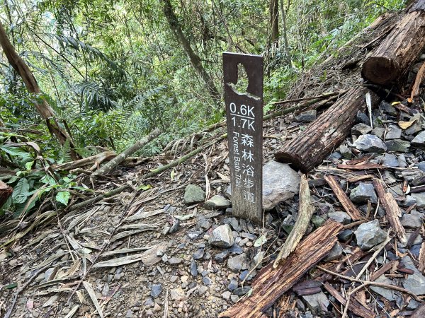 內洞國家森林遊樂區2806878