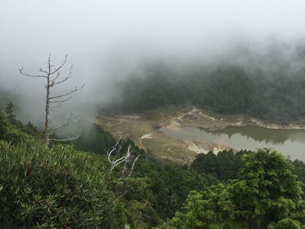 翠峰湖環山步道216478