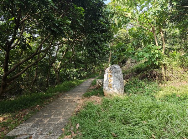 [皮皮獅動物派對-02/10] 2026_0815 仁和步道、金獅古道3112473