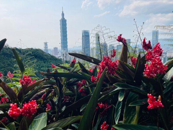 1140513象山峰-永春崗平台O繞2785604