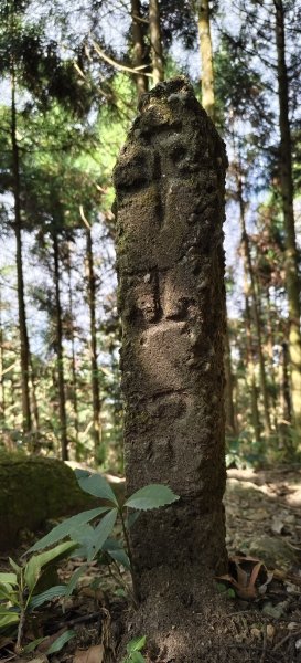 2025/12/06-光高天+南大龜+向天湖+三角湖山2957698