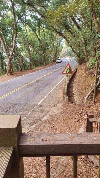 (彰化) 橫山步道 仙境冬韻之美1596548