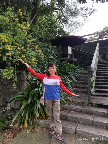 【臺北大縱走7】樟山寺→樟樹步道→指南宮貓空步道→壺穴步道→茶展中心步道→大成殿步道→指南宮千階步道3042063