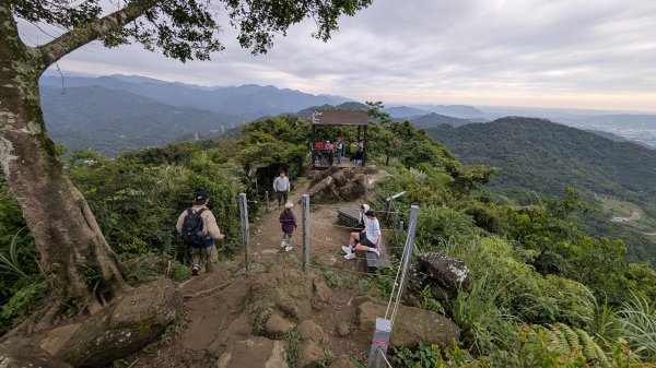 115.05.01天上山-桐花公園之旅3052138